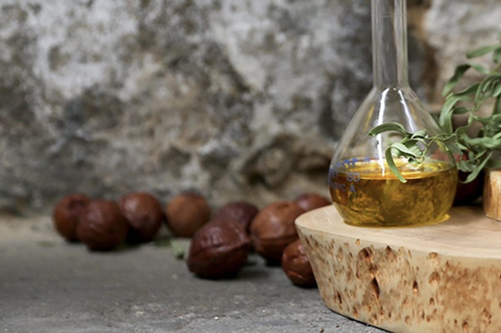 cropped-Seed-Oil-.jpg